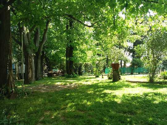 فندق بيرانفي  Apartmaji, Sobe - Obzidje المظهر الخارجي الصورة