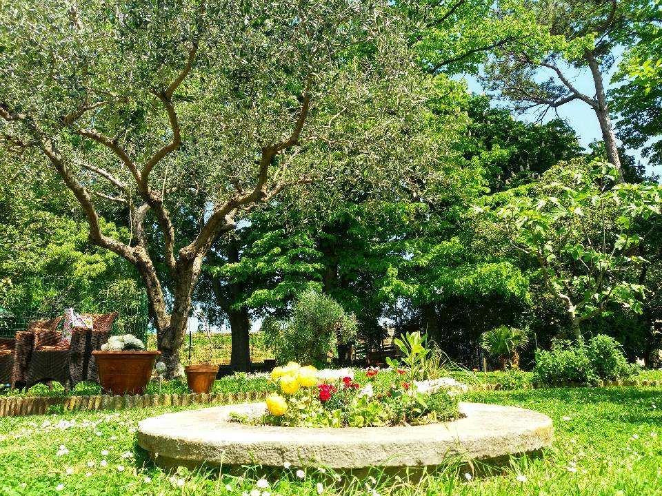 فندق بيرانفي  Apartmaji, Sobe - Obzidje المظهر الخارجي الصورة